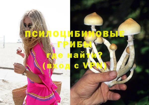 ГАЛЛЮЦИНОГЕННЫЕ ГРИБЫ Нефтегорск